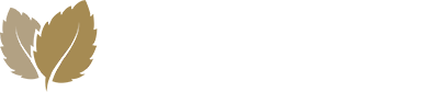Mint Macro